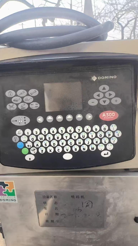 Industrial Print & Laser Inc - Stampante a Getto d'Inchiostro Domino A300